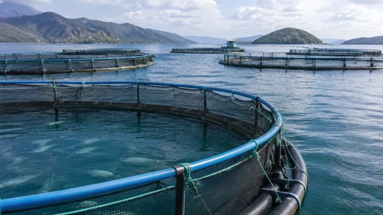 Aquaculture Sensors visual guide