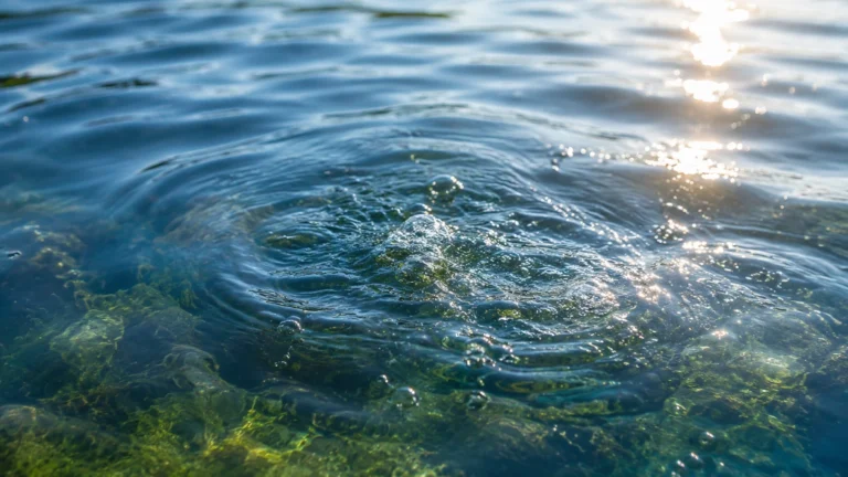 Dissolved Oxygen Monitoring visual guide