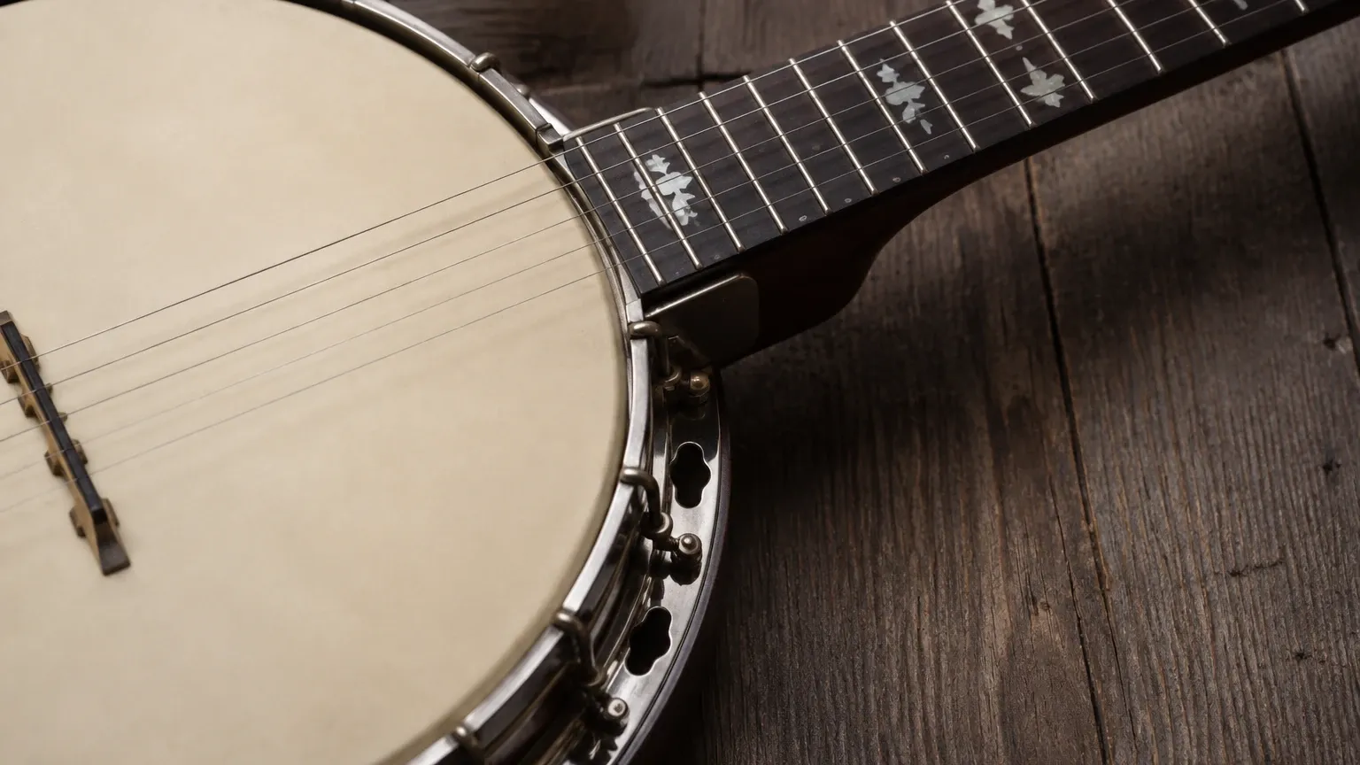 Vega Banjo Serial Numbers Vega Banjo Serial Numbers visual guide